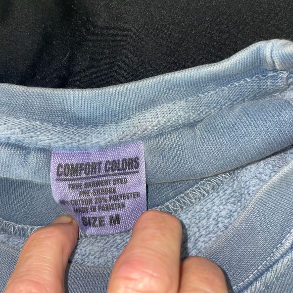 Florida Theta Comfort Colors Blue Sweatshirt Size Medium - Picture 3 of 4